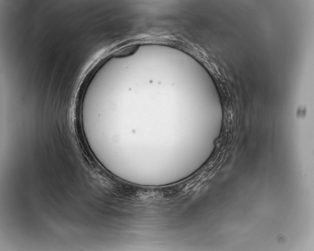 X0000103500340200810031633