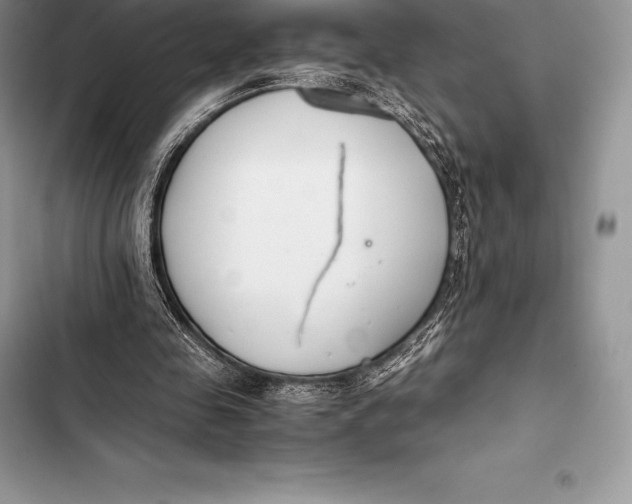 X0000103500341200810031633