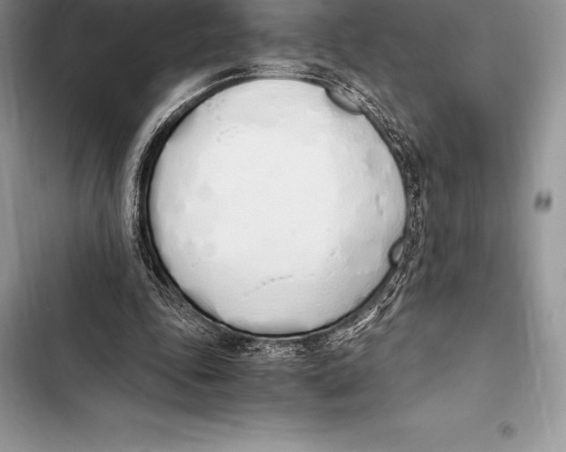 X0000103500343200810031633