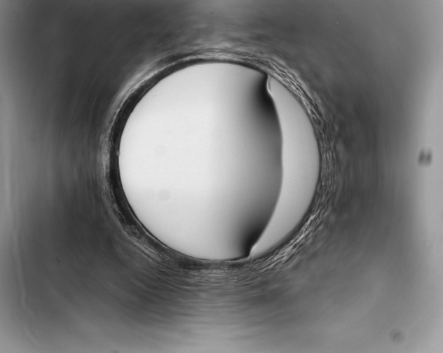 X0000103500344200810031633