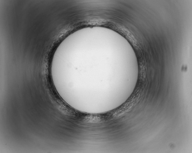 X0000103500354200810031633