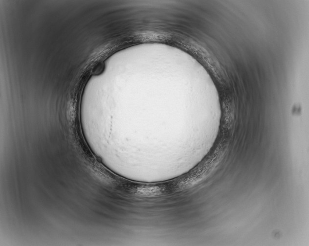 X0000103500357200810031633