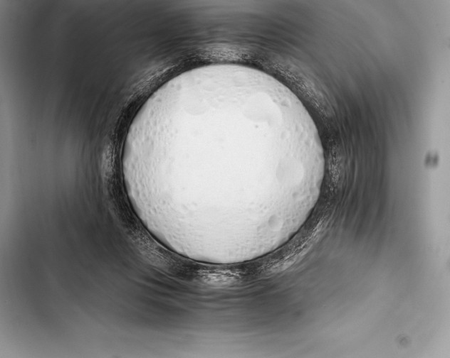 X0000103500359200810031633