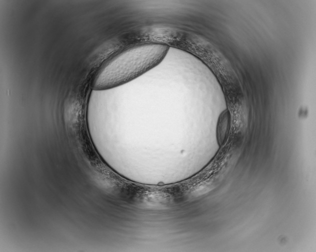 X0000103500360200810031633