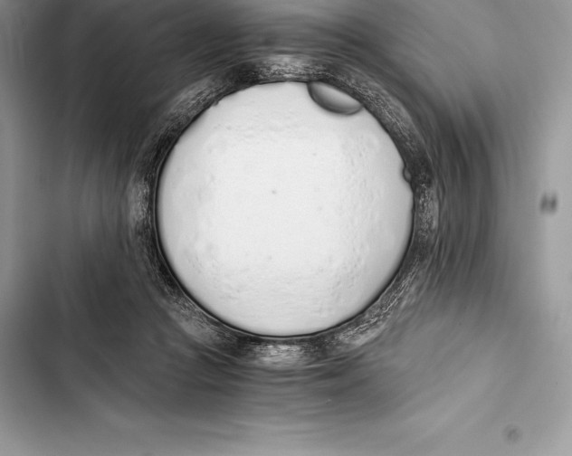 X0000103500361200810031633