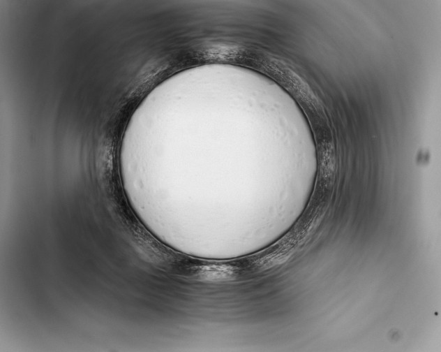 X0000103500363200810031633