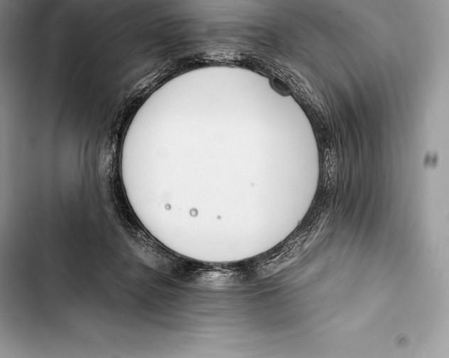 X0000103500364200810031633