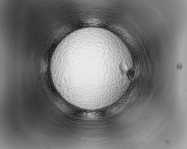 X0000103500365200810031633