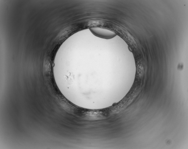 X0000103500375200810031633