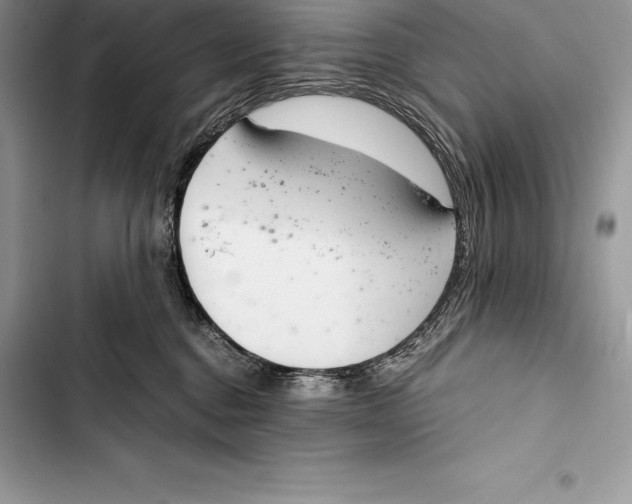 X0000103500376200810031633