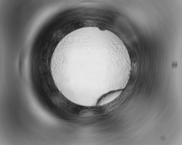 X0000103500381200810031633