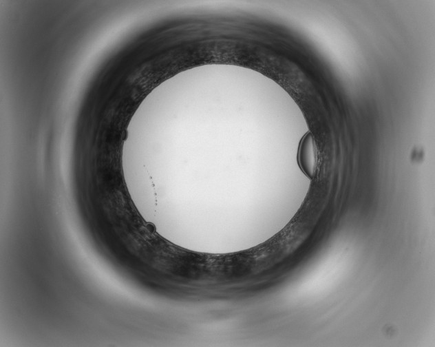 X0000103500383200810031633