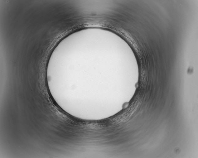 X0000103500385200810031633