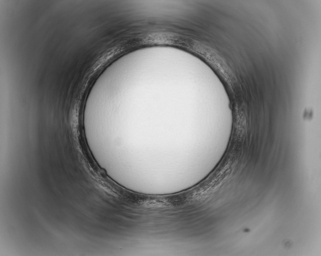 X0000103500386200810031633