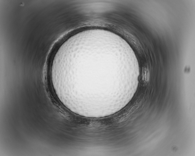 X0000103500388200810031633