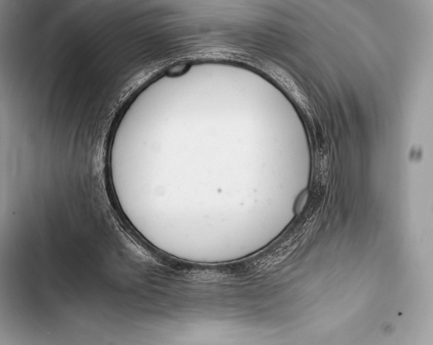 X0000103500389200810031633