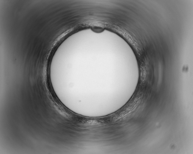 X0000103500390200810031633