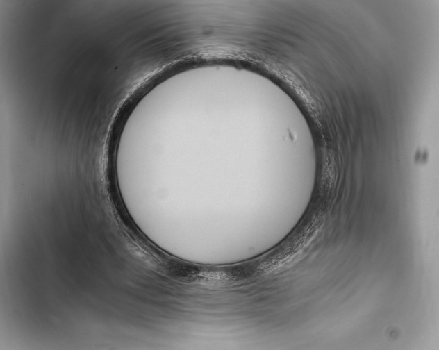 X0000103500391200810031633