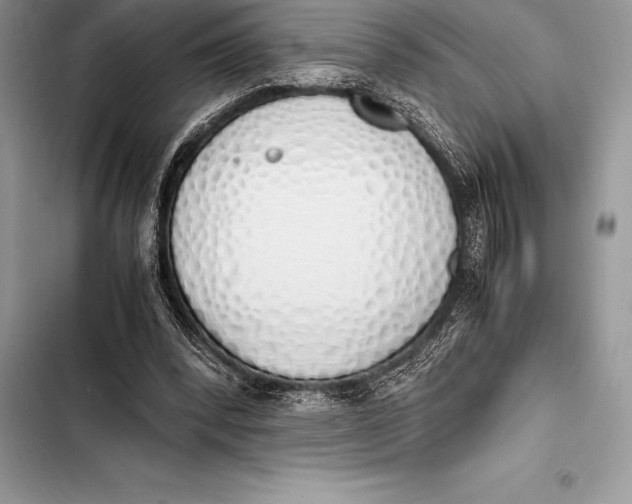 X0000103500392200810031633