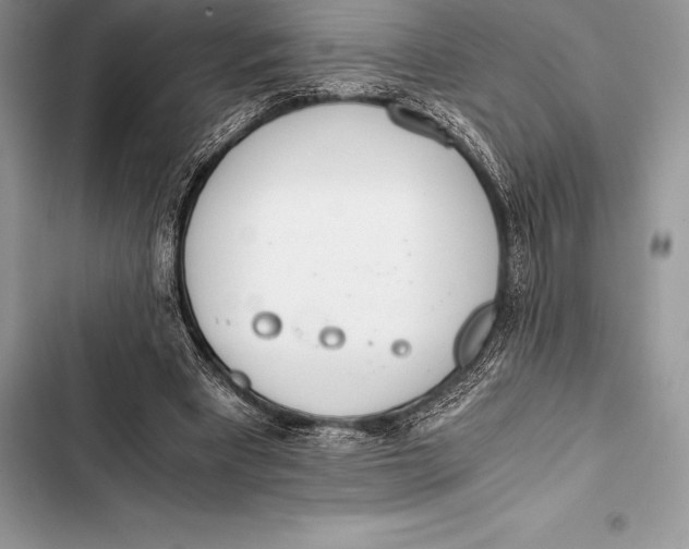 X0000103500393200810031633