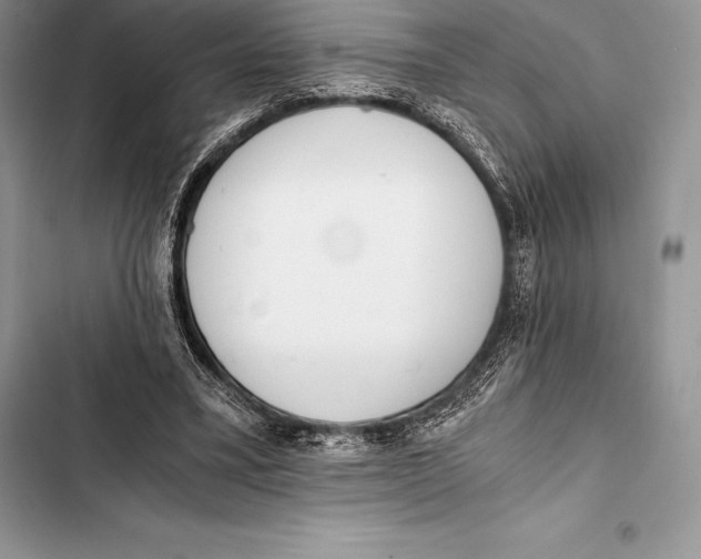 X0000103500395200810031633