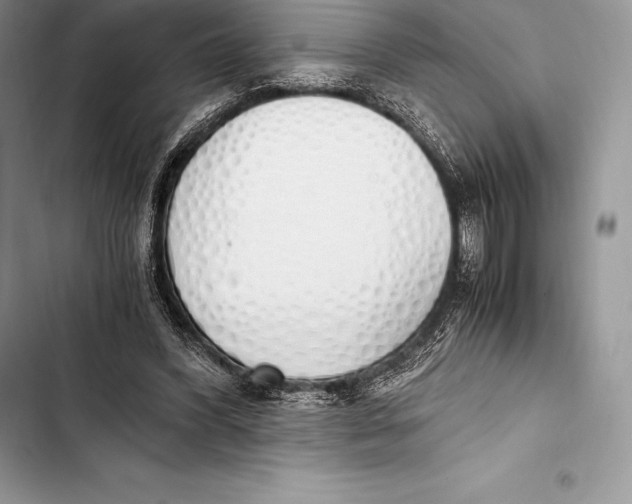 X0000103500396200810031633