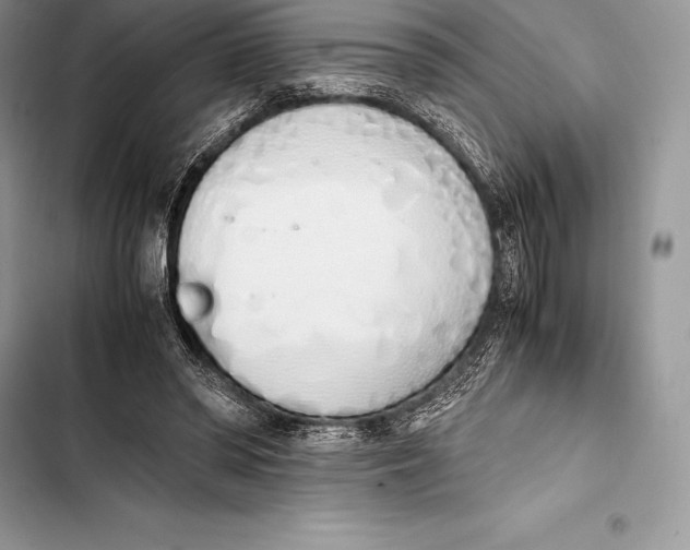 X0000103500398200810031633