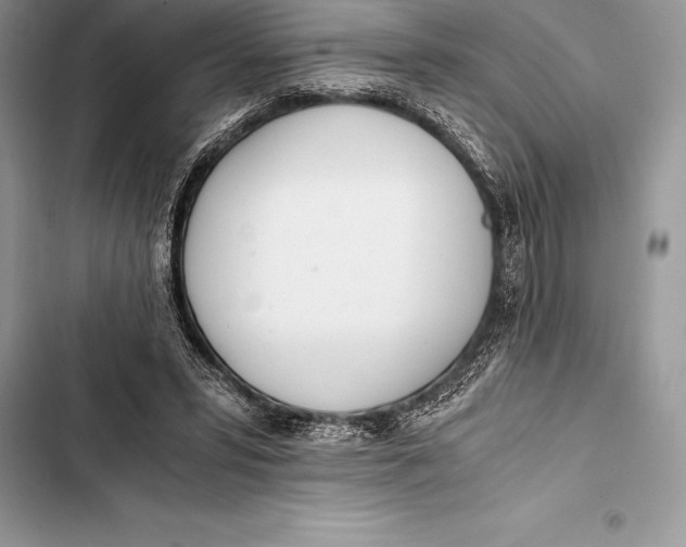 X0000103500399200810031633