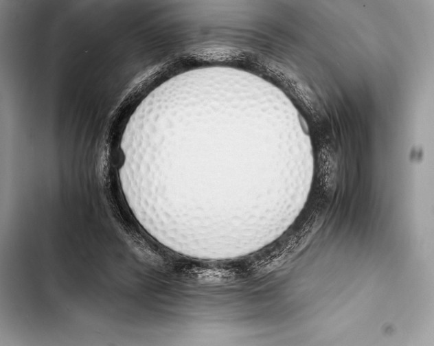 X0000103500400200810031633