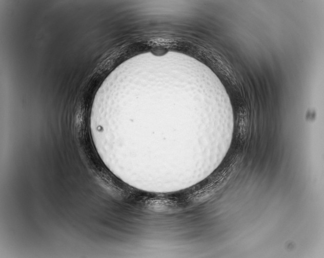 X0000103500408200810031632