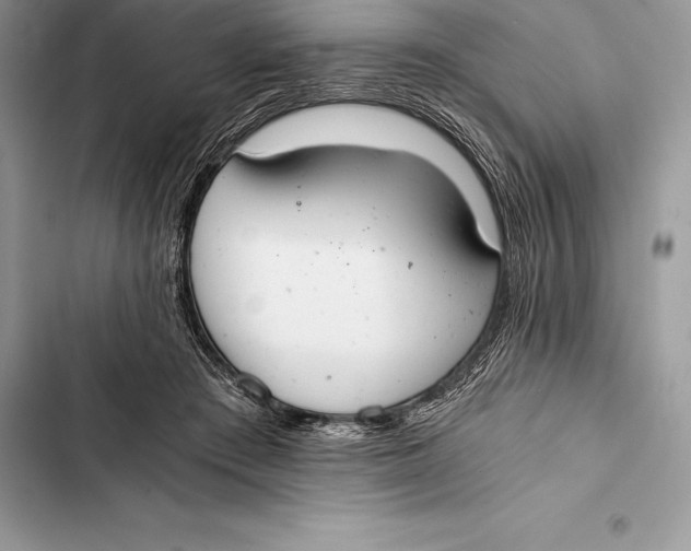 X0000103500409200810031632