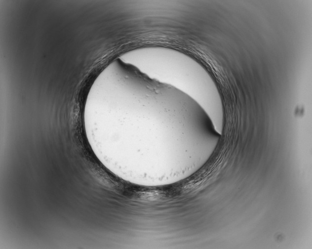 X0000103500411200810031632