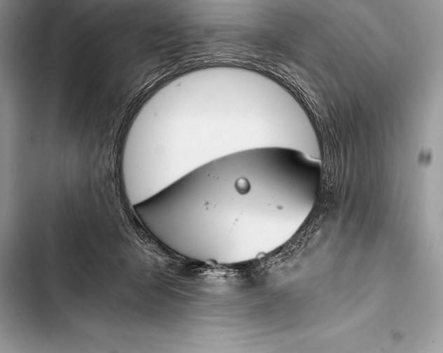 X0000103500415200810031632