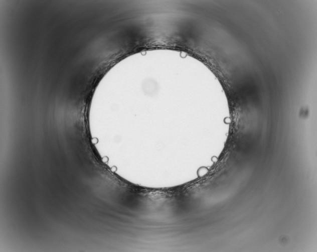 X0000103500423200810031632