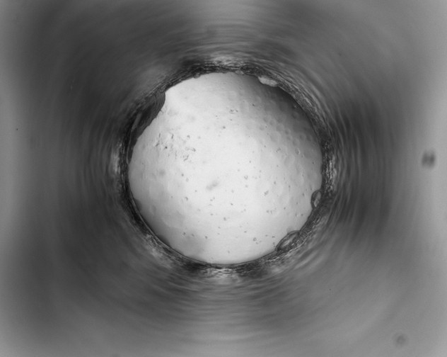 X0000103500424200810031632