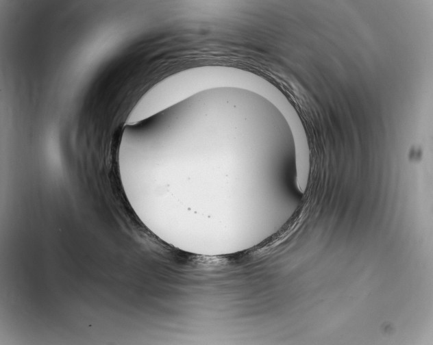 X0000103500429200810031632