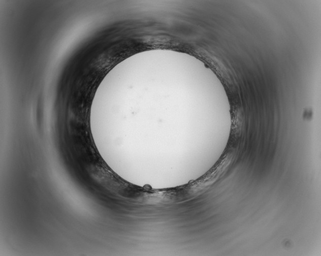 X0000103500430200810031632