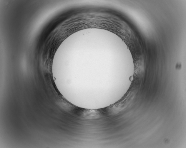 X0000103500431200810031632