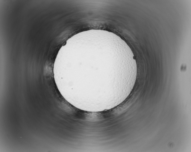 X0000103500432200810031632