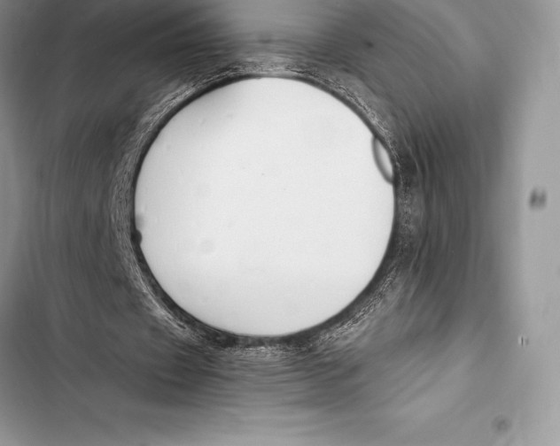 X0000103500433200810031631