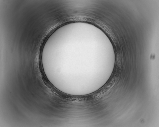 X0000103500434200810031631