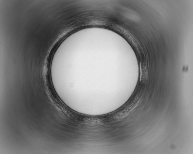 X0000103500435200810031631