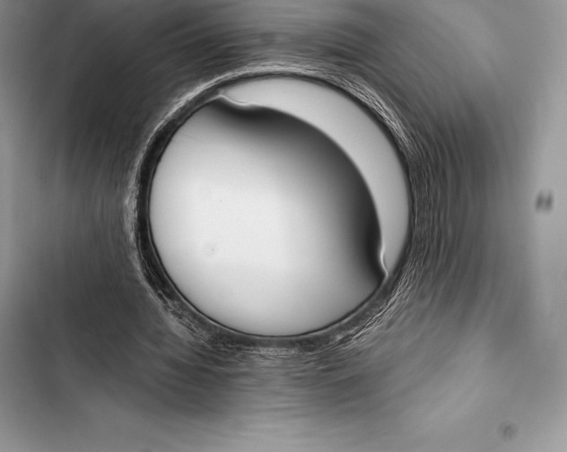 X0000103500436200810031631