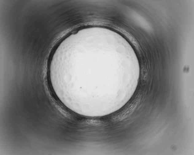 X0000103500437200810031631