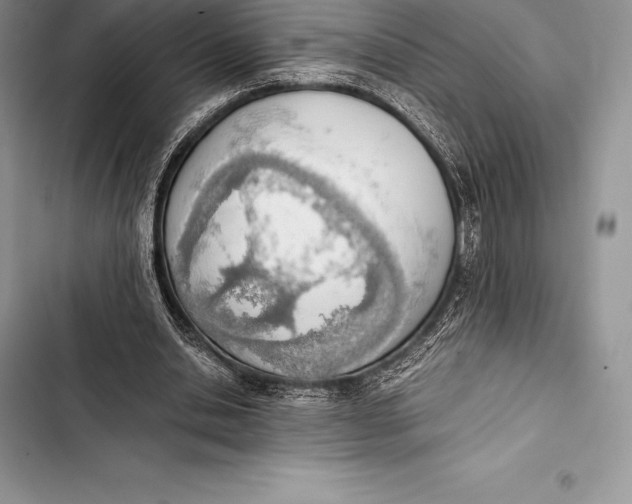 X0000103500438200810031631