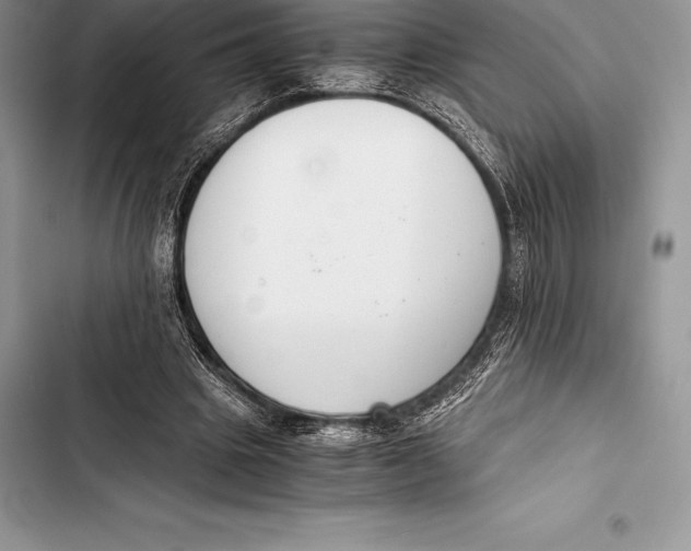 X0000103500441200810031631