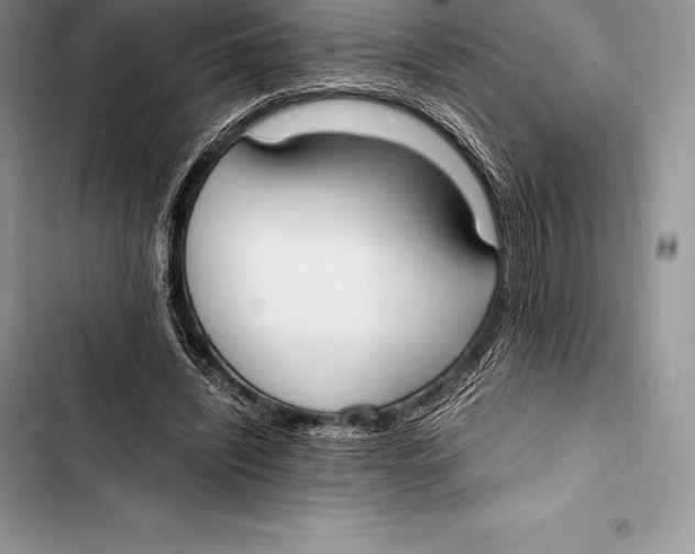 X0000103500444200810031631