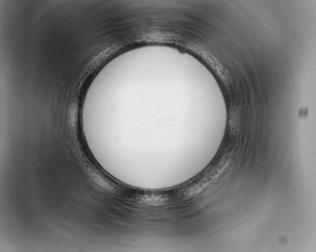 X0000103500445200810031631