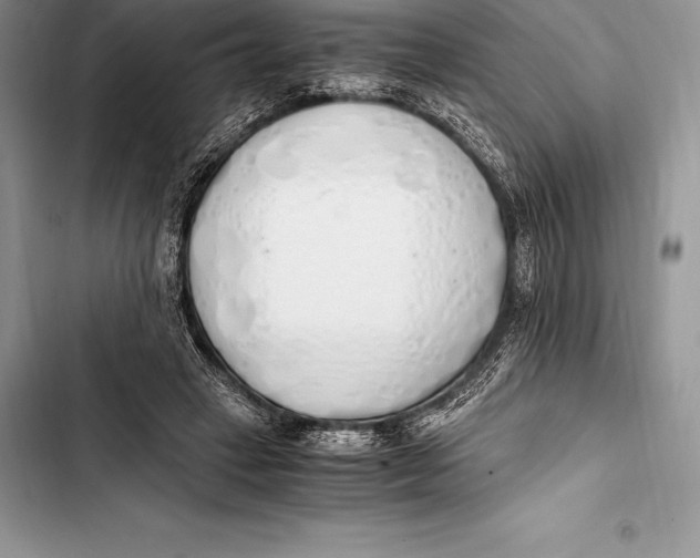 X0000103500449200810031631