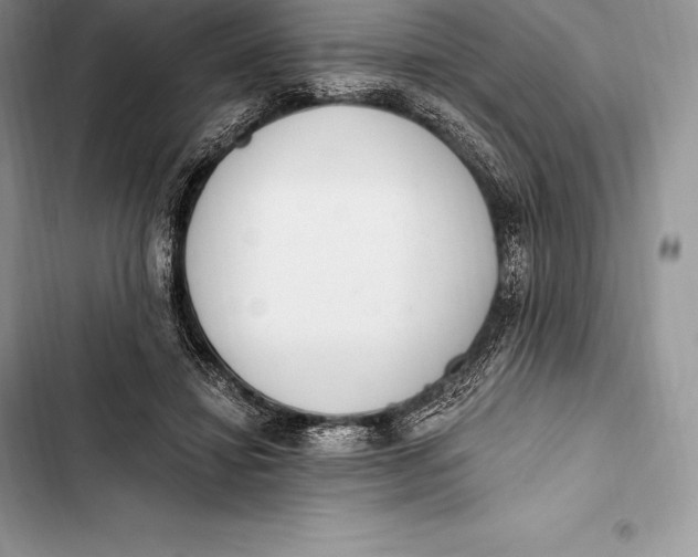 X0000103500452200810031632